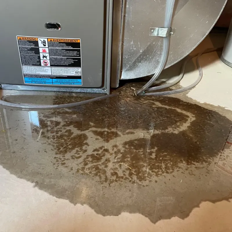 Appliance Leak Cleanup in Grand Rapids, MI