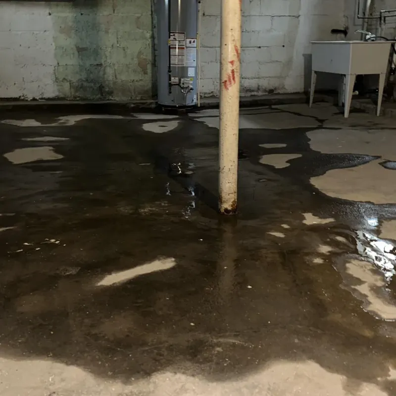 Emergency Water Extraction And Removal in Grand Rapids, MI